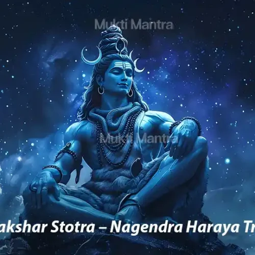 Shiv-Panchakshar-Stotra–Nagendra-Haraya-Trilochanaya-mukti-mantra
